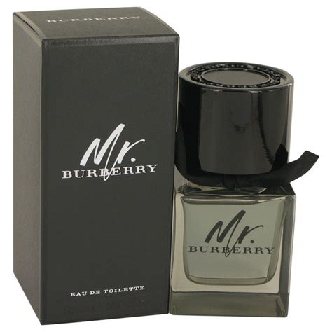 mr burberry cologne notes